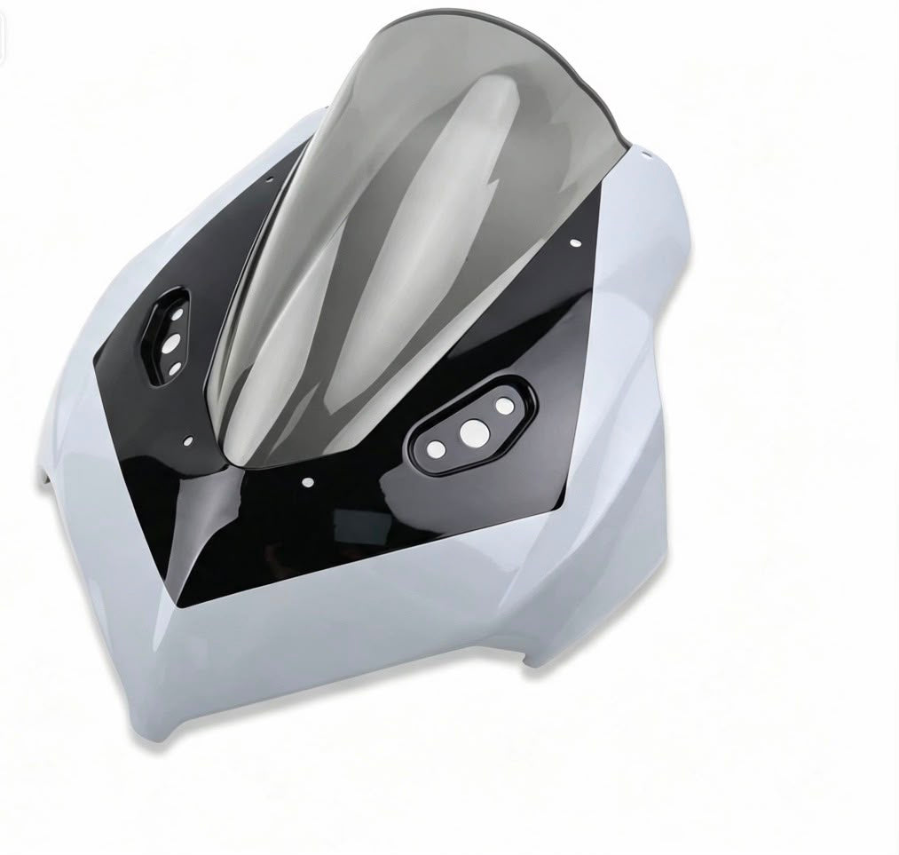 Ducati V4 Frontverkleidung 675SR