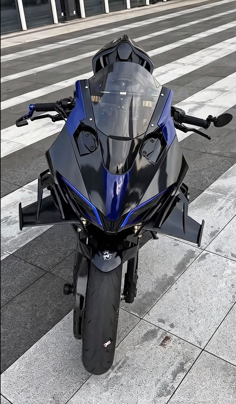 V4 Competition Winglet 450SR